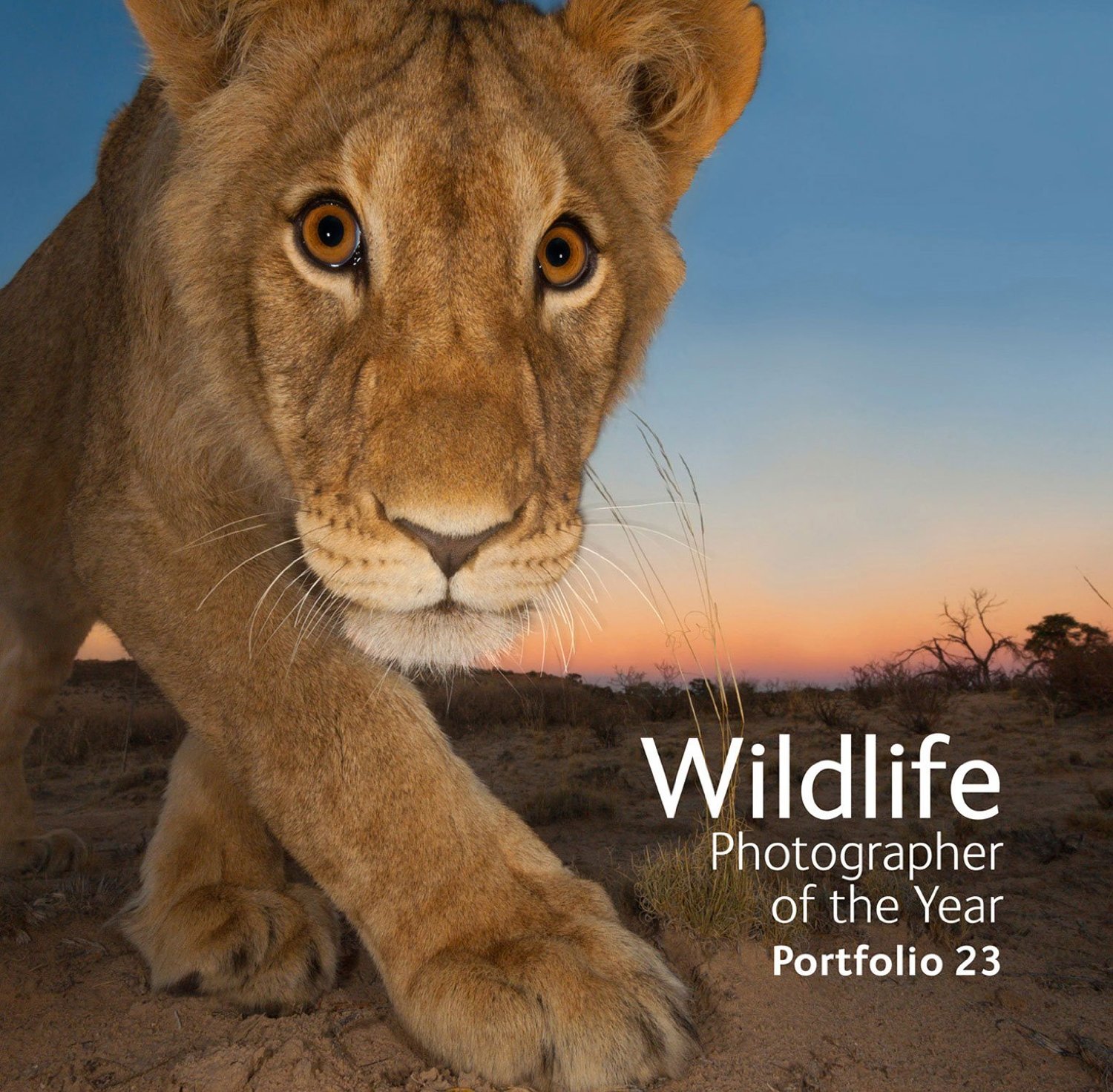 Wildlife Photographer of the year 2013